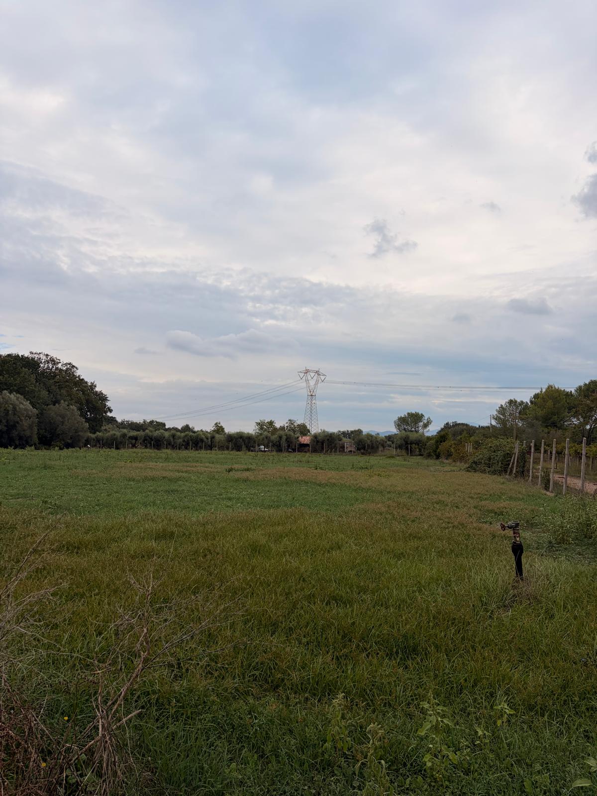 VILLA BIFAMILIARE 340 MQ.CA. CON TERRENO DI 15.000 MQ.CA.