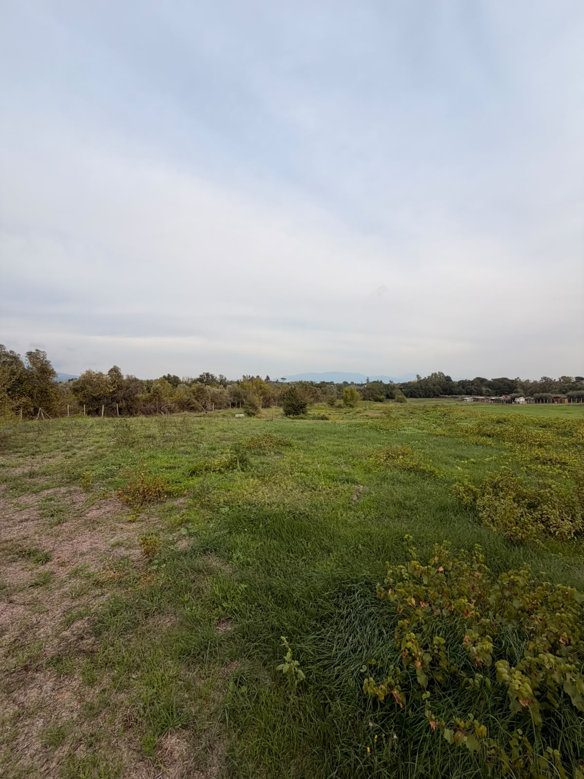 Lanuvio. Terreno agricolo 12.000 mq.ca.