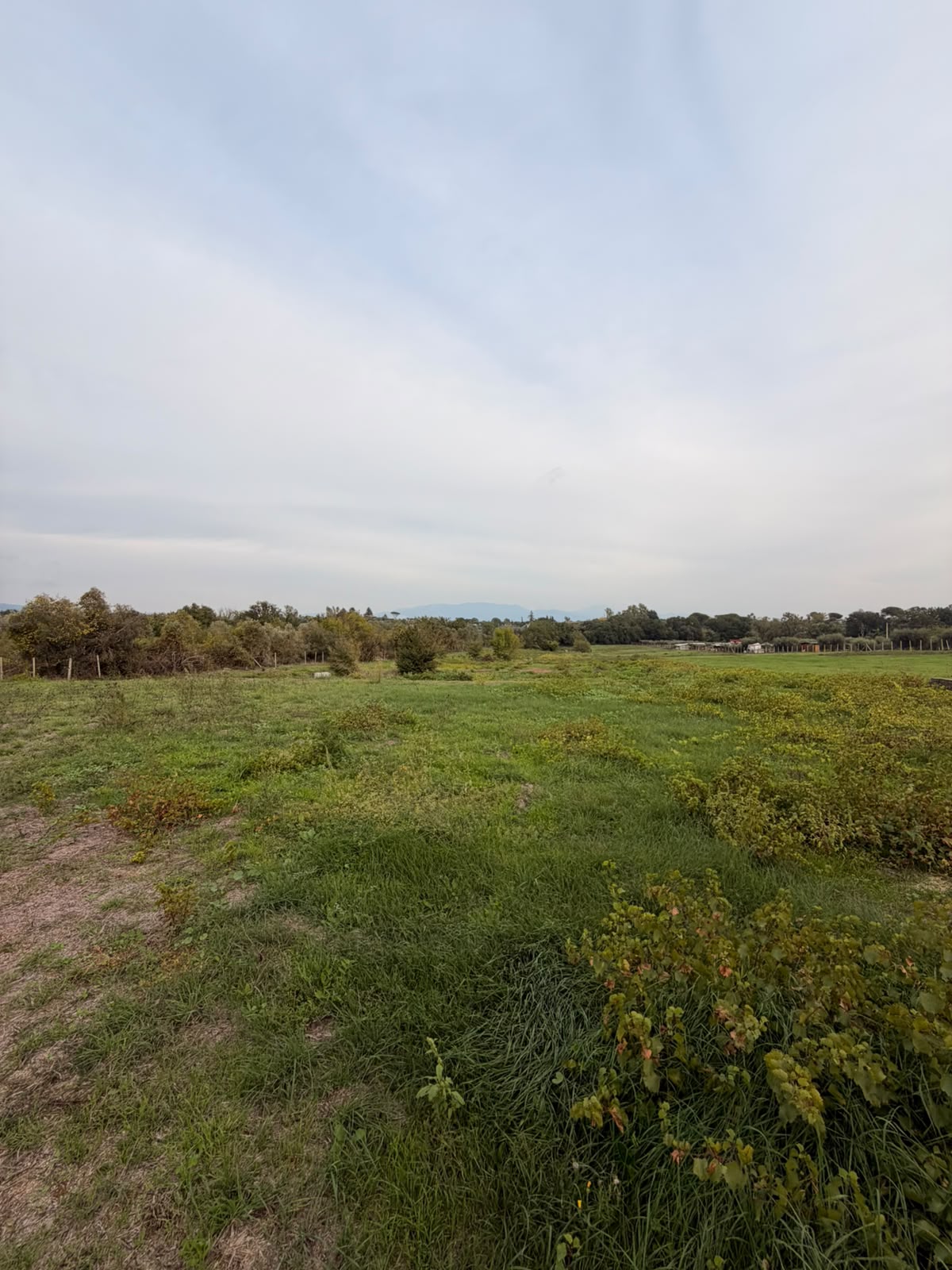 Lanuvio. Terreno agricolo 12.000 mq.ca.