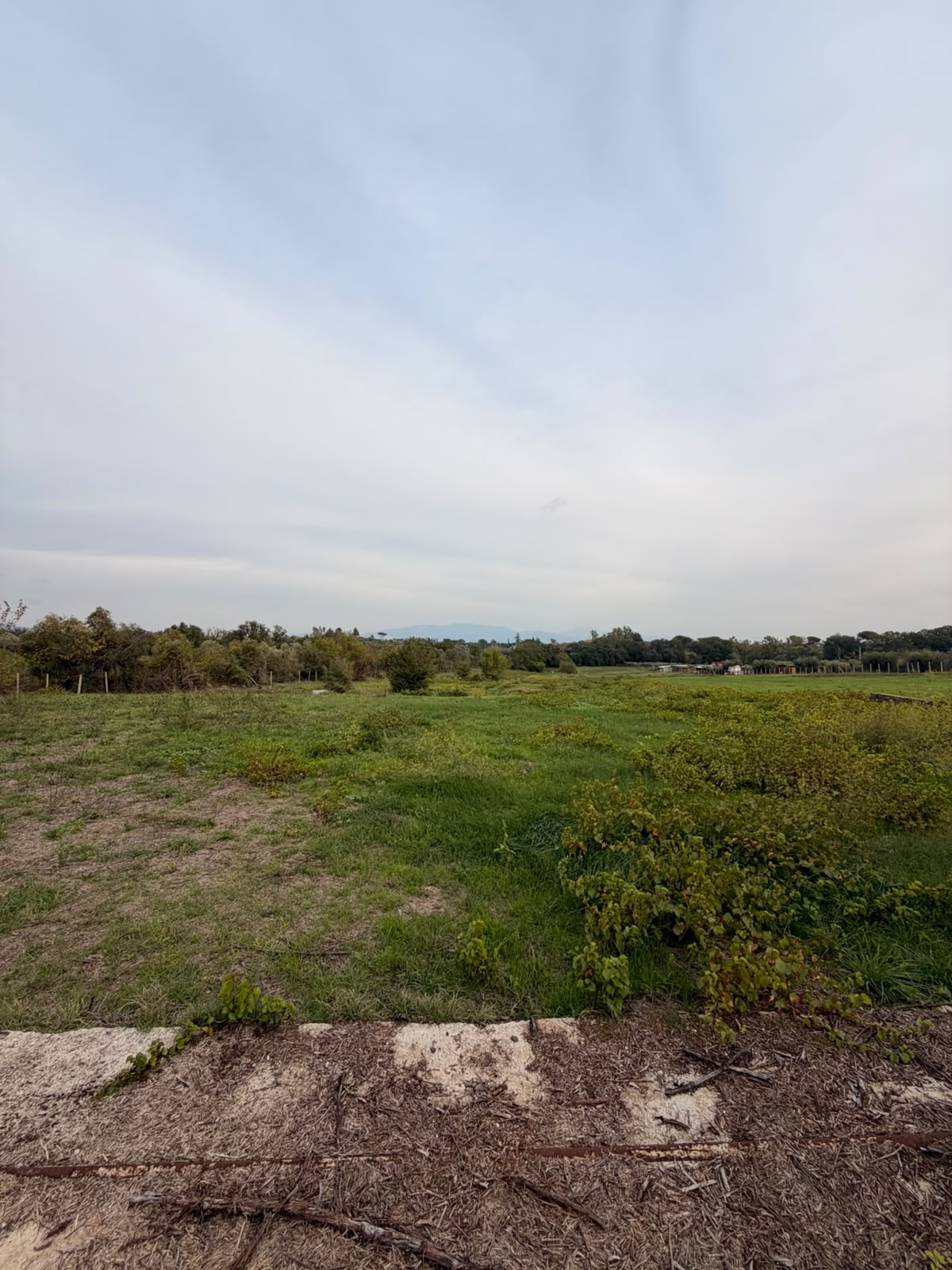Lanuvio. Terreno agricolo 12.000 mq.ca.