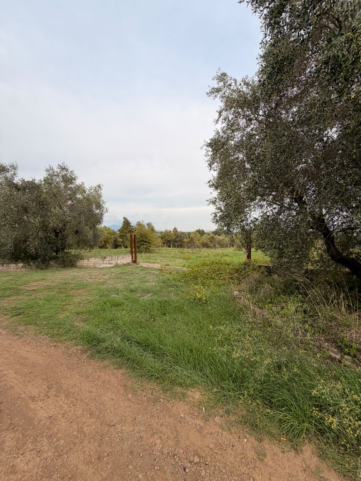 Lanuvio. Terreno agricolo 12.000 mq.ca.