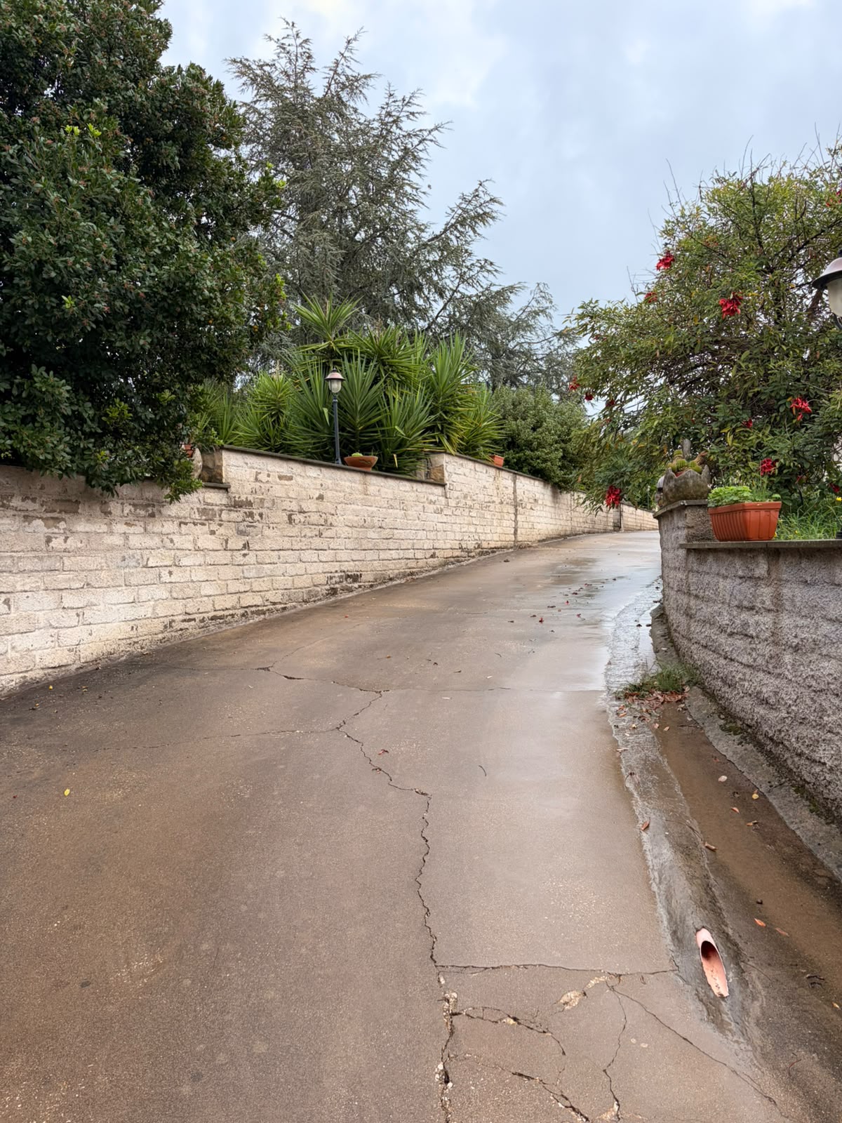 Lanuvio. 3 locali in villa con terrazzo.